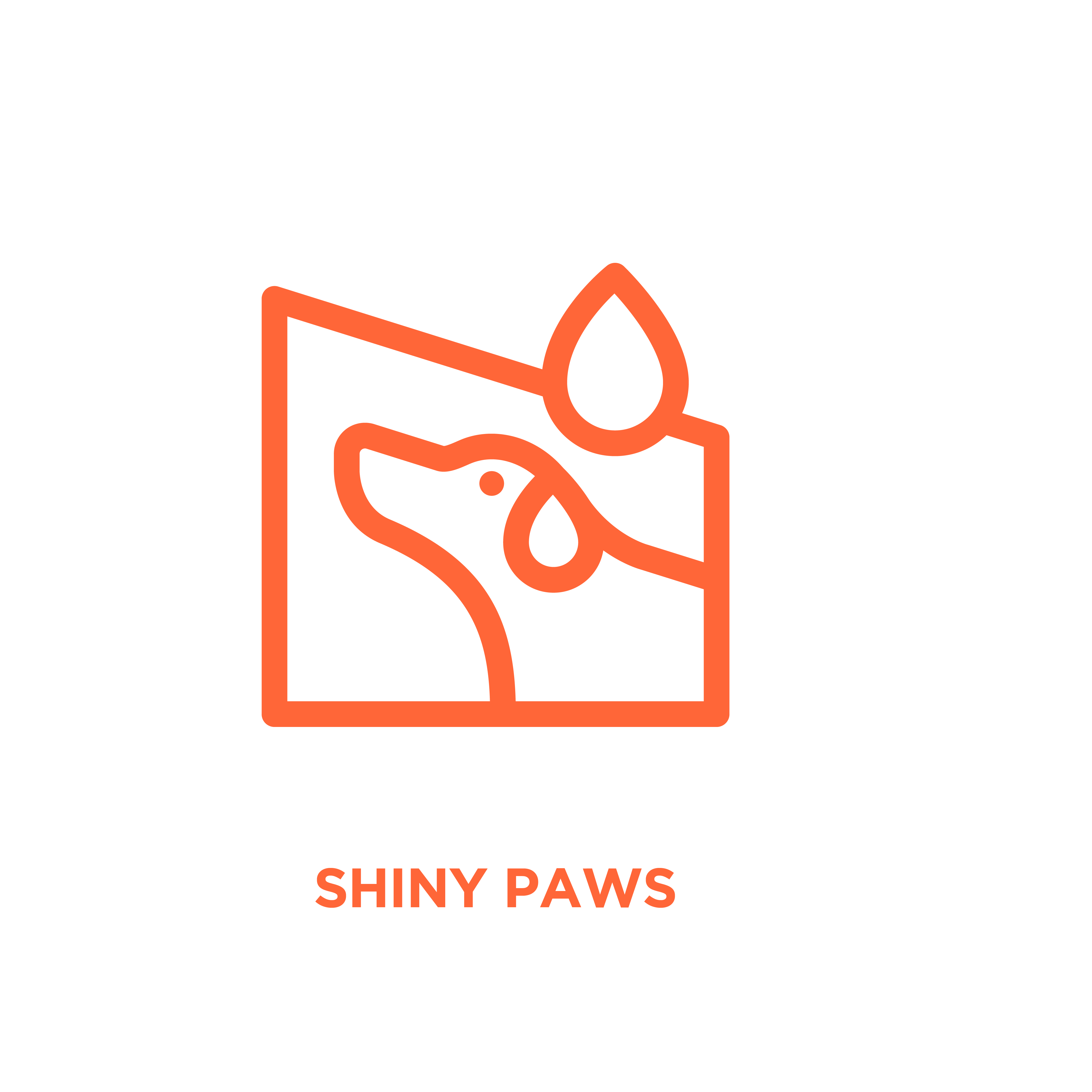 shiny_paws