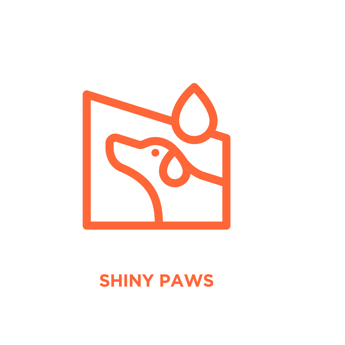 shiny_paws